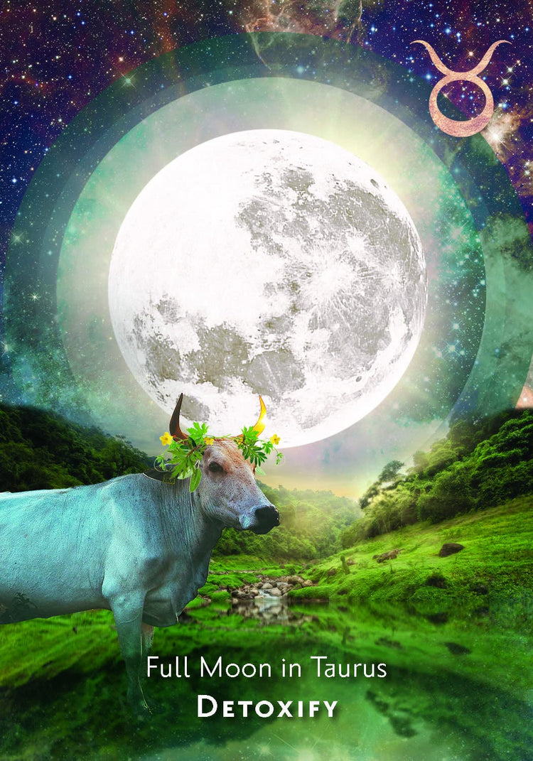 Moonology Manifestation Oracle Deck - Maya Candle Co
