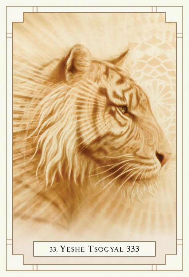 White Light Oracle Deck - Maya Candle Co