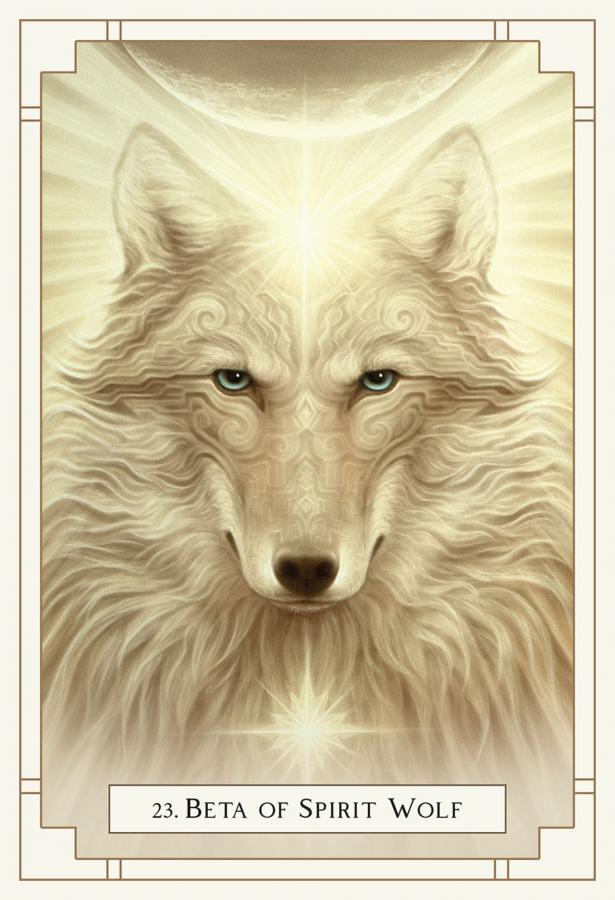 White Light Oracle Deck - Maya Candle Co