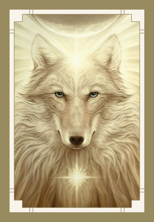 White Light Oracle Deck - Maya Candle Co