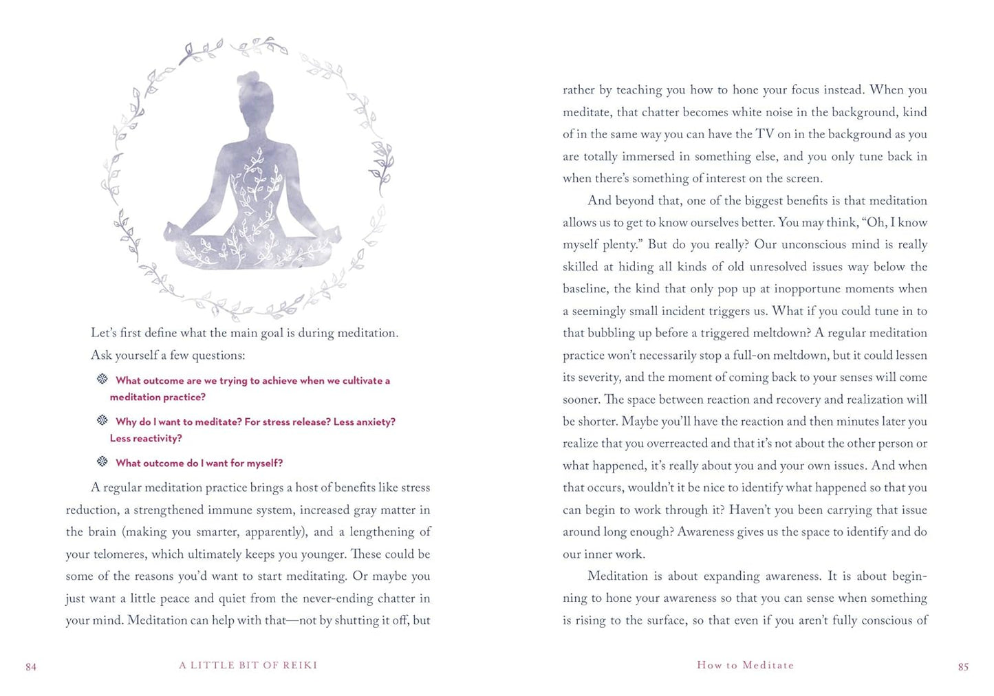 Little Bit of Reiki, A: An Introduction to Energy Medicine