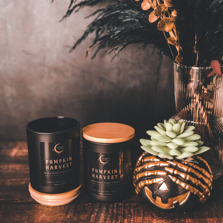 Pumpkin Harvest - Maya Candle Co